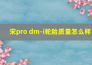 宋pro dm-i轮胎质量怎么样